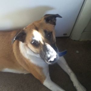 Meet your Posher, Jeri